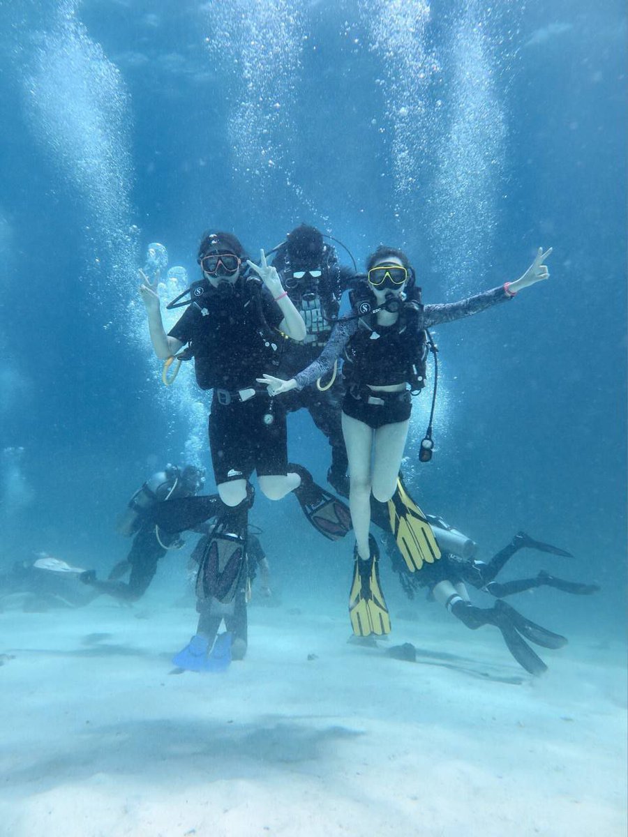 SuofeiyaQ's tweet photo. Gradient seas + rich seabed
Beautiful corals + colorful fish
Every scene is a diving memory worth framing!
Here, waiting for you to come, once you come, you don't want to leave!

#DiveTogether #Freediving #Diving  #coraljelly 
#DiveGirl https://t.co/JKtoAivScz