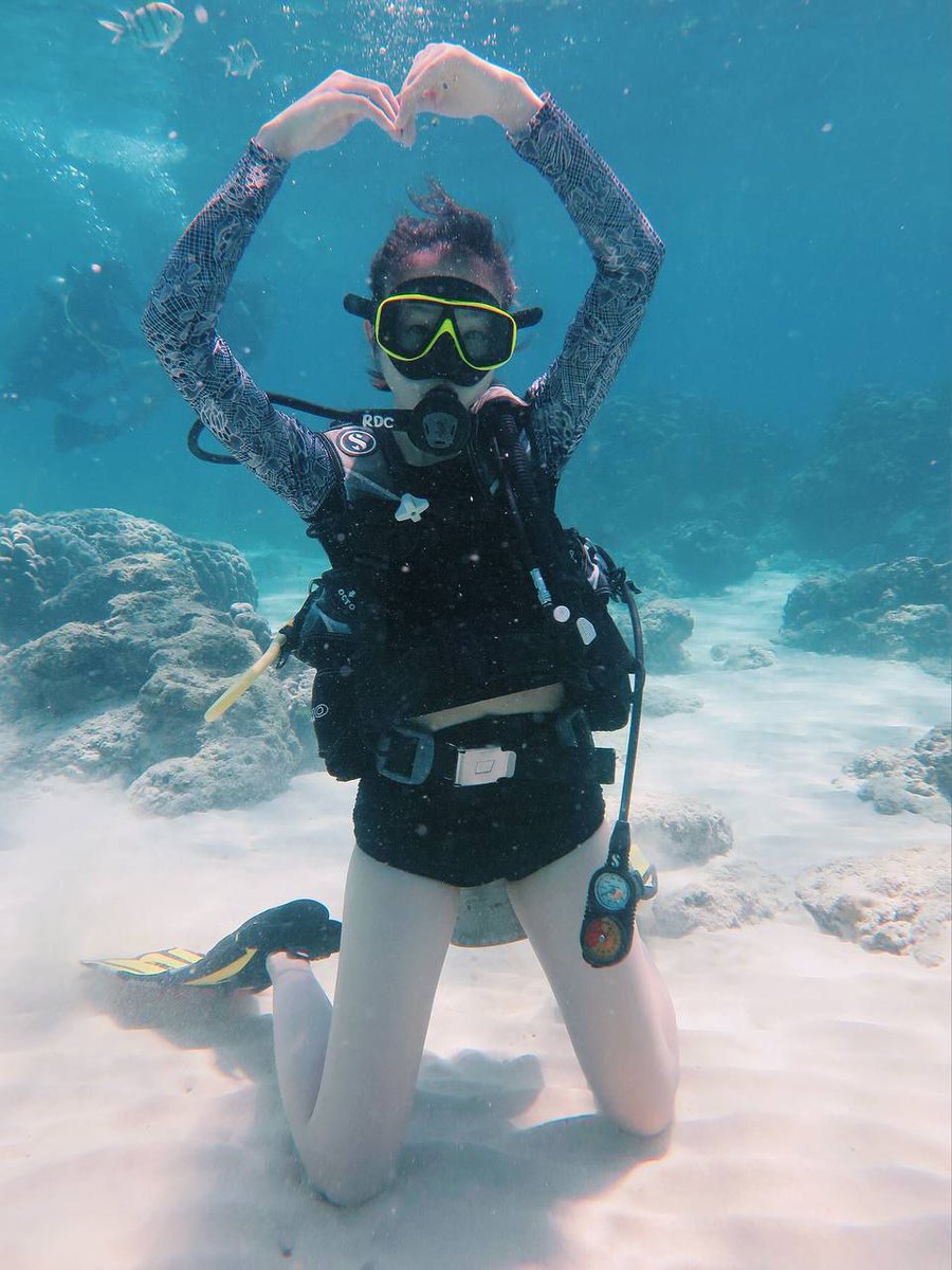 SuofeiyaQ's tweet photo. Gradient seas + rich seabed
Beautiful corals + colorful fish
Every scene is a diving memory worth framing!
Here, waiting for you to come, once you come, you don't want to leave!

#DiveTogether #Freediving #Diving  #coraljelly 
#DiveGirl https://t.co/JKtoAivScz