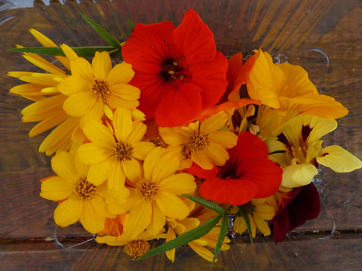 AgroSymbiose's tweet photo. A toutes les femmes (et les hommes ! 😉), nous vous souhaitons de passer une belle journée pleine de fleurs et de couleurs ! 🌸🌼🌺

#fleurs #fleurscomestibles #couleurs #8mars #femmes #bientotleprintemps #aquaponie #fermeaquaponique #producteurs https://t.co/J7MIfrIZOG