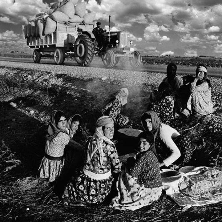 Bu memleketin her bir karış toprağında emeği olan da sensin. Sınırsız sevginle hayat veren de sensin.... #8MartDünyaKadınlarGünü #GücünüKutla