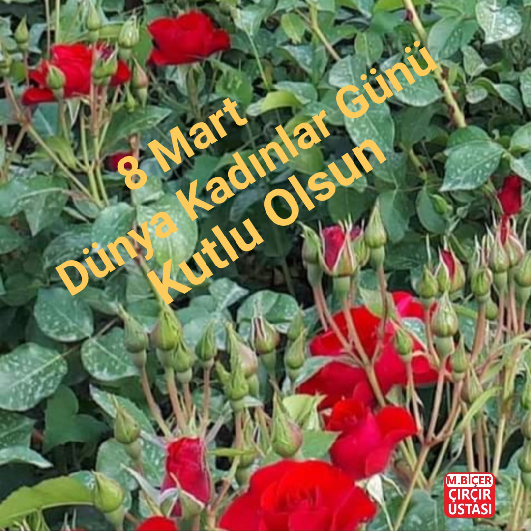 8 Mart dünya kadınlar günü kutlu olsun