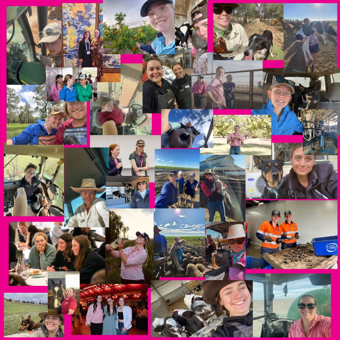 It's International Womens Day! 🌱 

The 2024 theme is 'Invest in Women: Accelerate progress'. We are proud to invest in ALL types of women here at AgCAREERSTART. 

#IWD #investinwomen #womeninagriculture #GapYearAU #WorkAndTravel
#FarmLifeAU #ExploreAustralia #TravelGoals