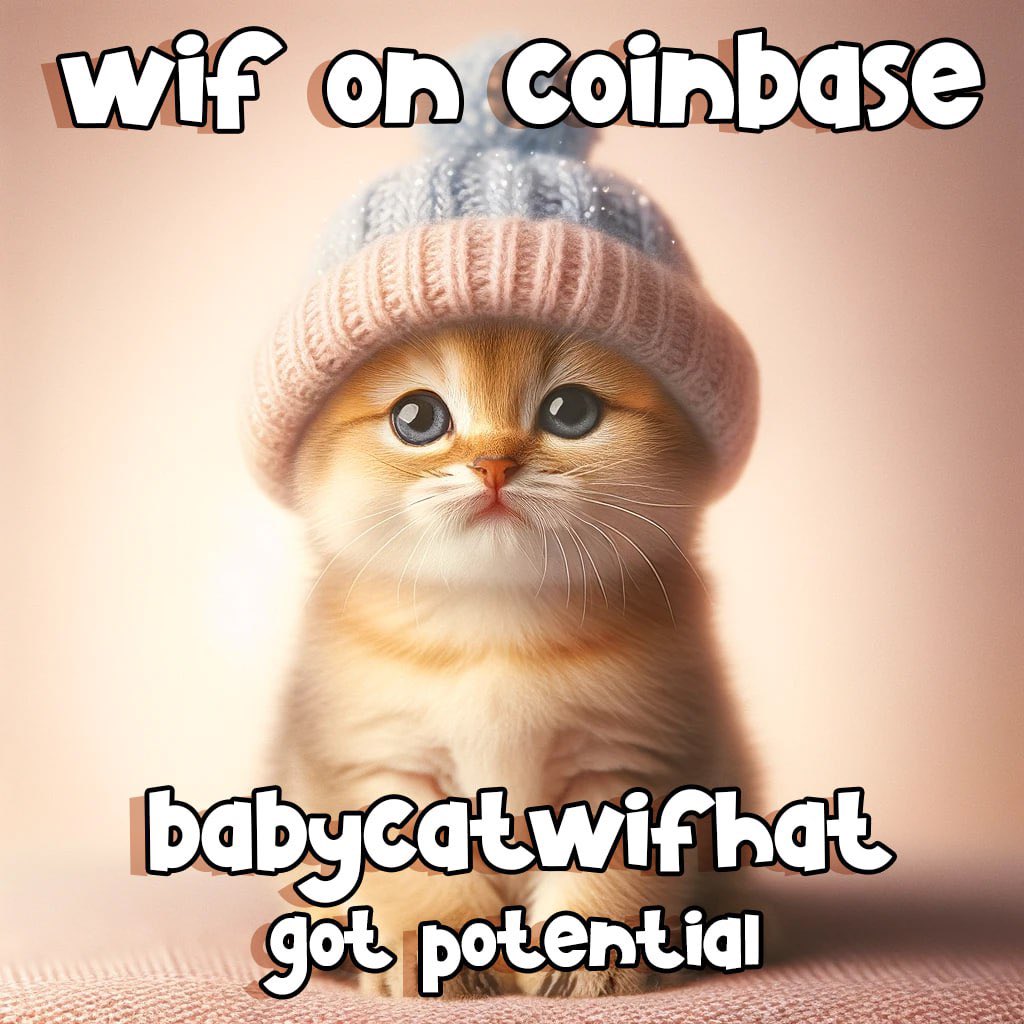 BABYCATWIFHAT tweet media