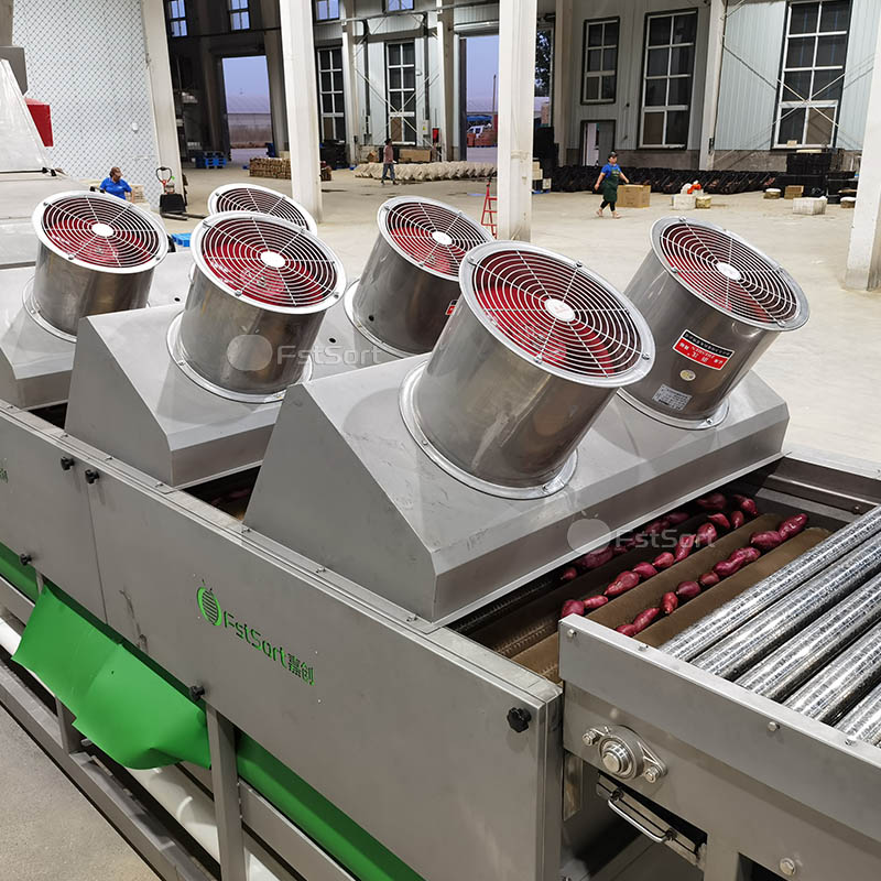 FruitprocessI's tweet photo. Sweet potato cleaning and sorting machine solves the tedious manual cleaning problem for you! 😍✨
Get Price: service@fruitprocess.com
Learn more: https://t.co/IyWakSd3Ot https://t.co/xy0OQr8cxx