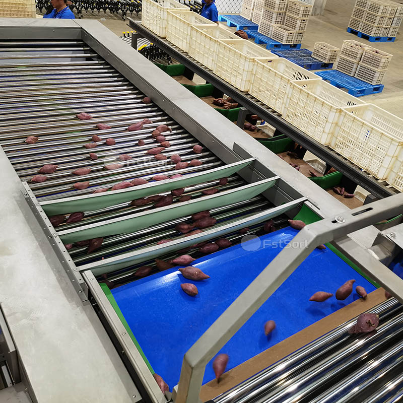 FruitprocessI's tweet photo. Sweet potato cleaning and sorting machine solves the tedious manual cleaning problem for you! 😍✨
Get Price: service@fruitprocess.com
Learn more: https://t.co/IyWakSd3Ot https://t.co/xy0OQr8cxx