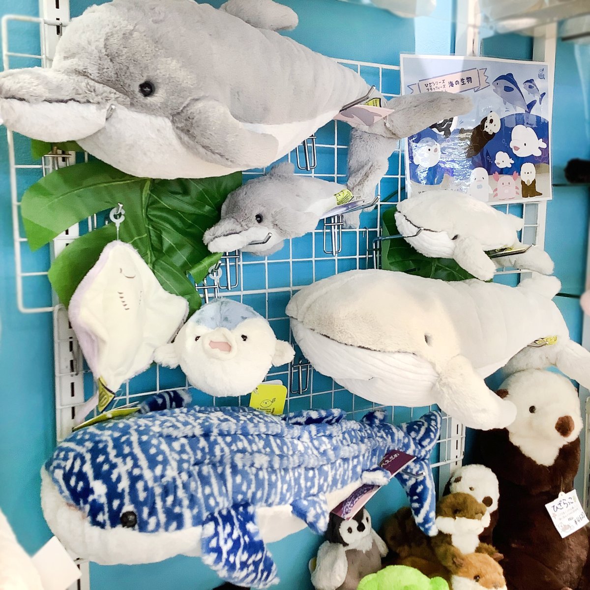 Kiitos武蔵浦和店 海の仲間たちのぬいぐるみが入荷🌊 ＜フラッフィーズ