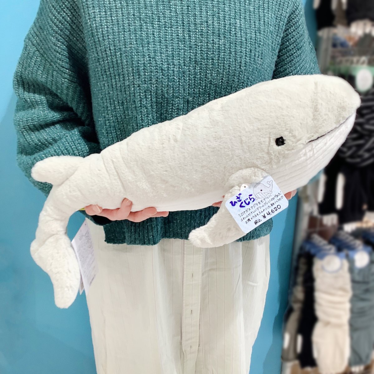 Kiitos武蔵浦和店 海の仲間たちのぬいぐるみが入荷🌊 ＜フラッフィーズ