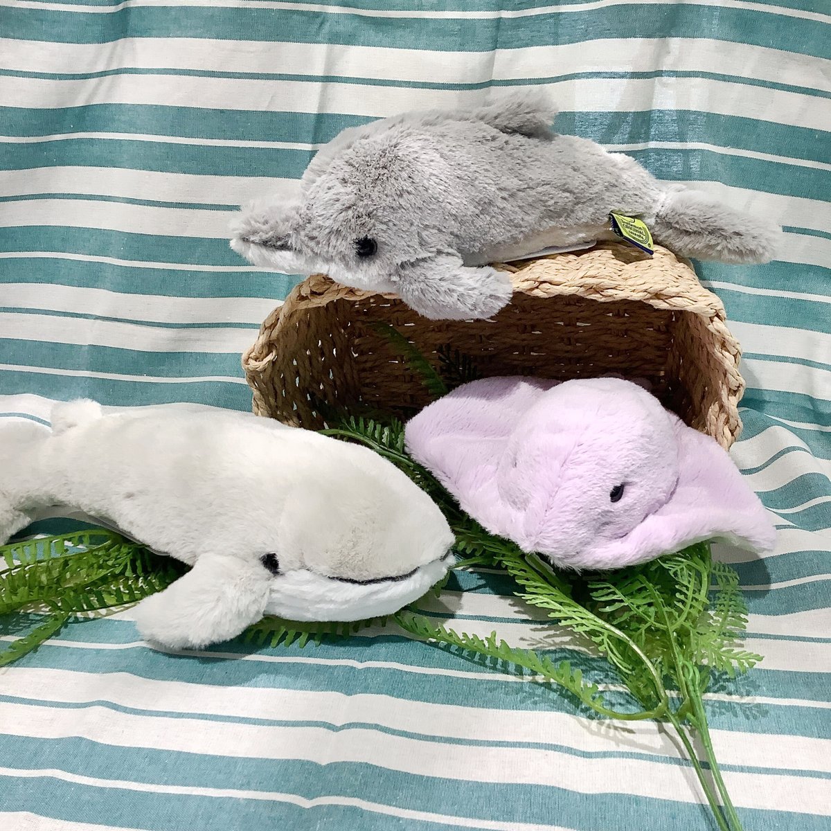 ととさん専用 くじらのぬいぐるみ Kiitos武蔵浦和店 海の仲間たちのぬいぐるみが入荷🌊 ＜フラッフィーズ