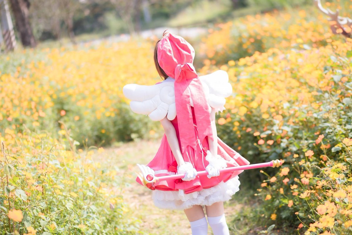 「隱藏著黑暗力量的鑰匙啊,在我面前顯示你真正的力量！
    現在以你的主人小櫻之名命令你
    ——封印解除！」

_____

Photo tks 祖神鷹

#cosplay注意 #庫洛魔法使 #木之本櫻  #木之本桜 #小櫻 #cardcaptor #cardcaptorsakura #cosplay #cosplayer #cosplaygirl #cardcaptorsakuracosplay