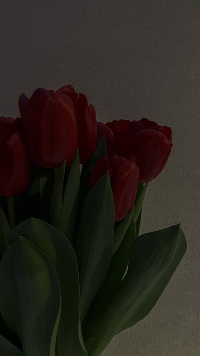 ⠀⠀⠀⠀⠀⠀⠀⠀
сегодня на нежном. 
поздравляю всех представительниц прекрасного пола. без нас этот мир был бы слишком серым и скучным.

⠀⠀⠀⠀⠀⠀⠀⠀