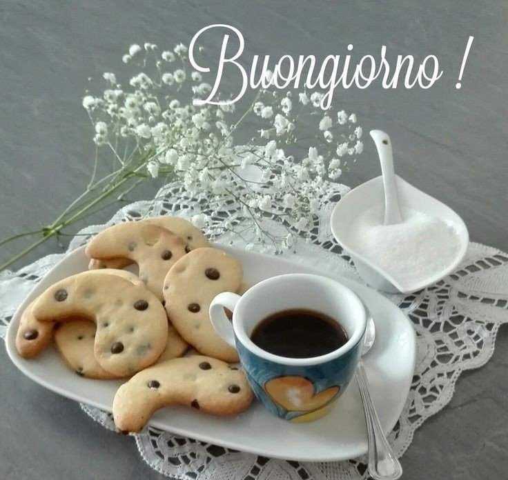 <a href="/elenoir15488625/">🌹𝓢𝓸𝓹𝓱𝓲𝓮🌹</a>