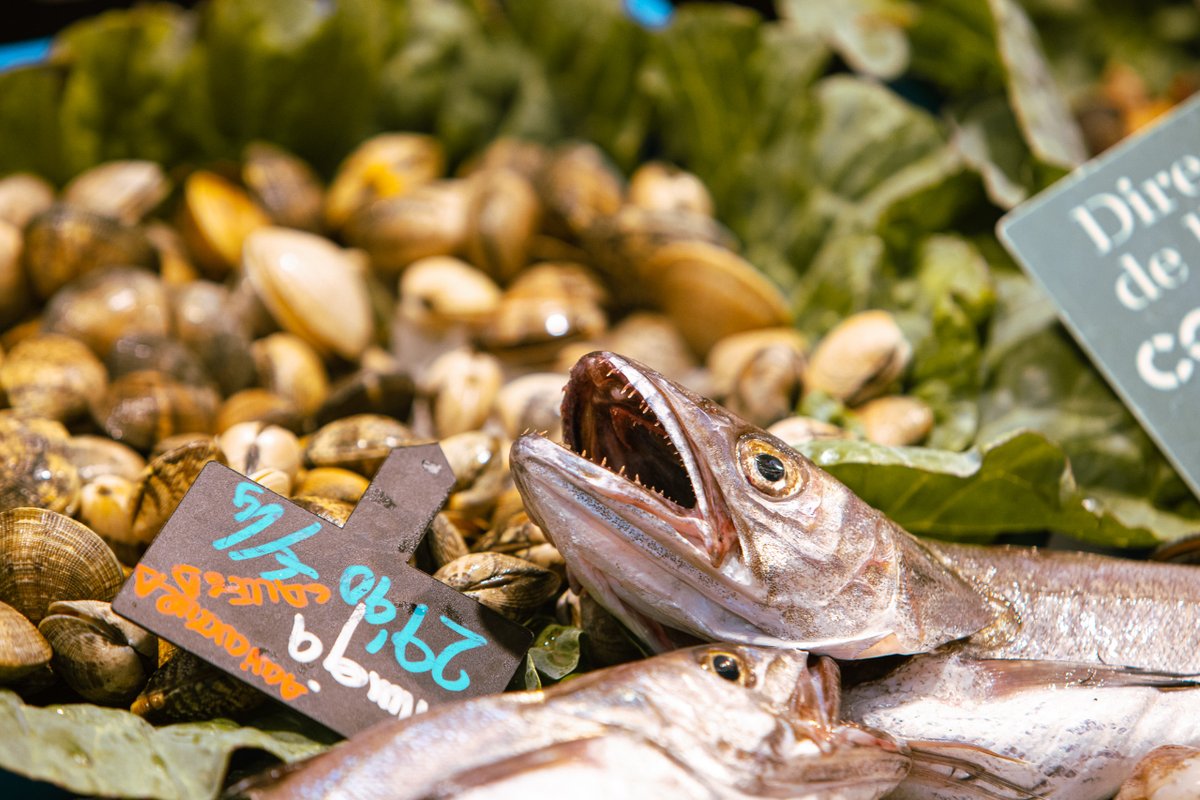 gremipeixaters's tweet image. 📌 A Catalunya ha desaparegut prop del 24% de les peixateries en sis anys. El Gremi de Peixaters de Catalunya alerta sobre aquesta preocupant tendència, que afecta els llocs de treball i la salut de les persones. 
gremipeixaters.cat/nota-de-premsa…
#ConsumResponsable #sompeixaters