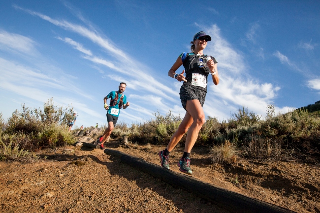 Capestop tweet media