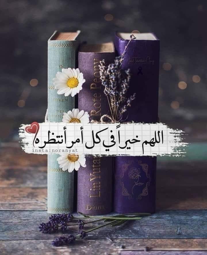 �صبــــــــــــاح_الخير🌹🌸
🌹جمعة مباركة 🌹

اللهم أنت المعطي لمن دعاك ،،🤲🏻
يامن ترانا ولا نراك ،،و ترزقنا و لا نبلغ ثناك ؛ 🤲🏻
اجعل لنا بكل دعوة إجابة  .🤲🏻
ربً اجّعٌلَ هّذِا الَيِوٌمً يِوٌمً خِيِر ،، لَا يِضيِقُ لَنِا فُيِهّ صدر
#جمعة_مباركة