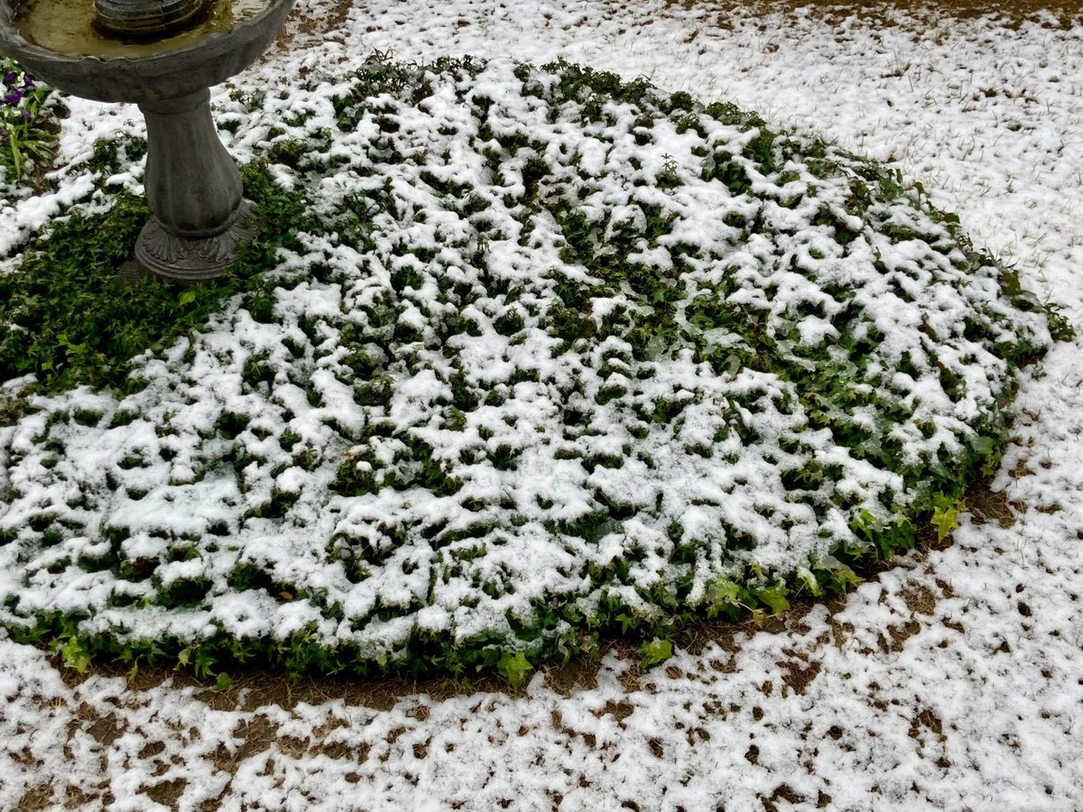 松本美佐 tweet media