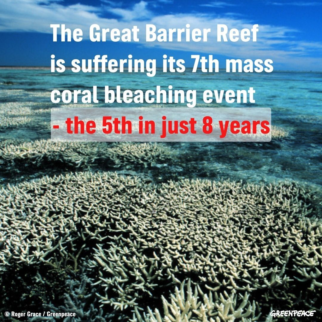 This is not normal! It is clear #climatechange, driven by the burning of fossil fuels, is fuelling the increased frequency and severity of marine heatwaves, which are impacting the #GreatBarrierReef in more frequent and profound ways.