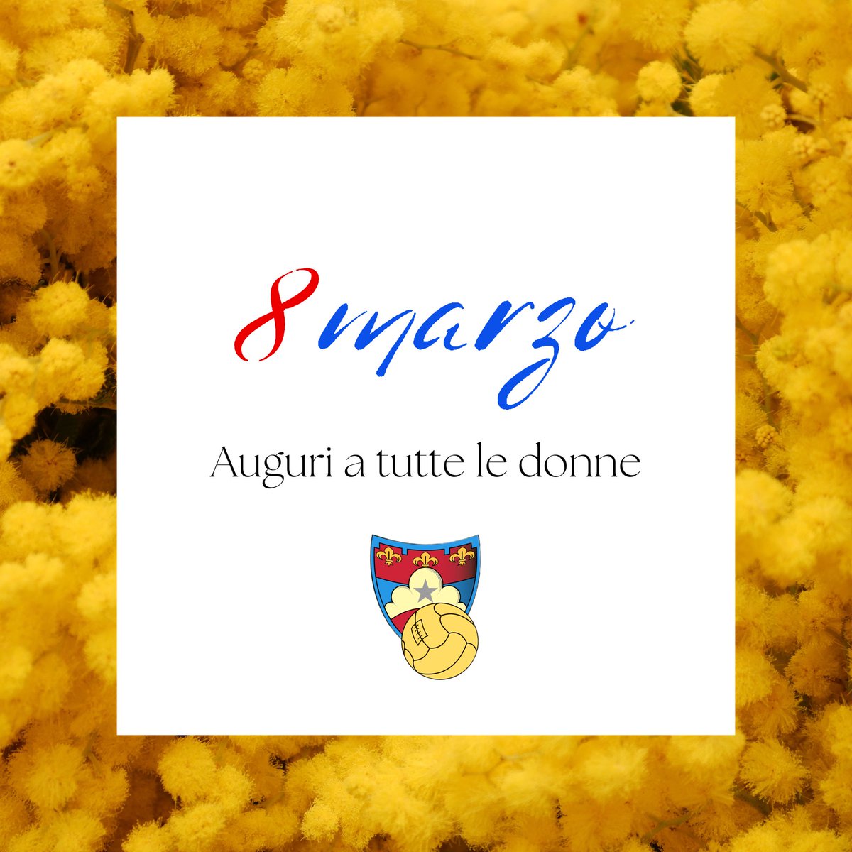 Auguri a tutte le donne 💐 ❤️