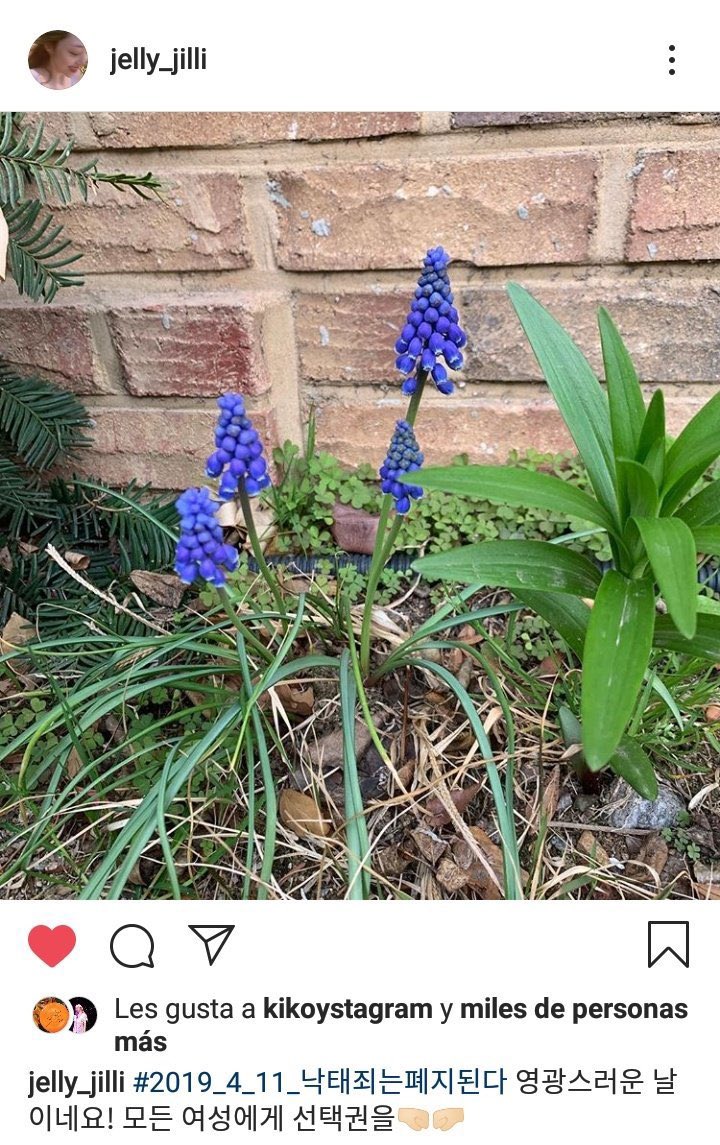 sulliselcabot's tweet image. happy women's day !! 👭🏻