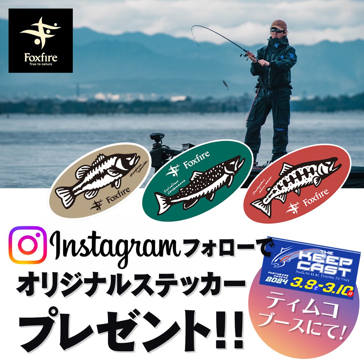 Fox Fire/フォックスファイヤー/初期/長方形/ステッカー/シール