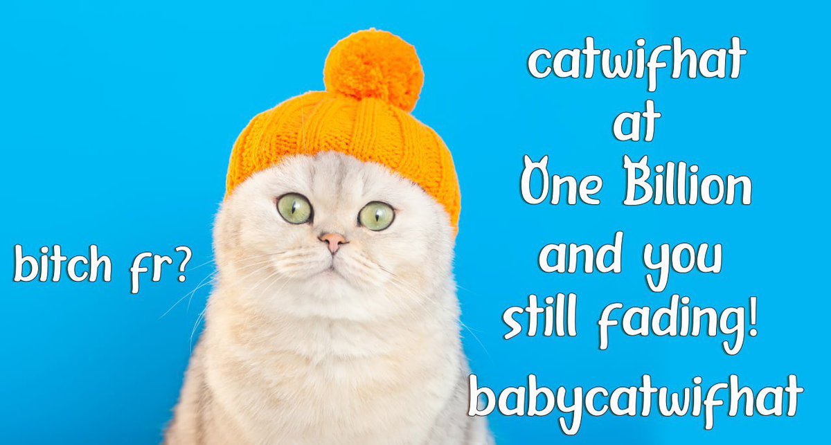 BABYCATWIFHAT tweet media