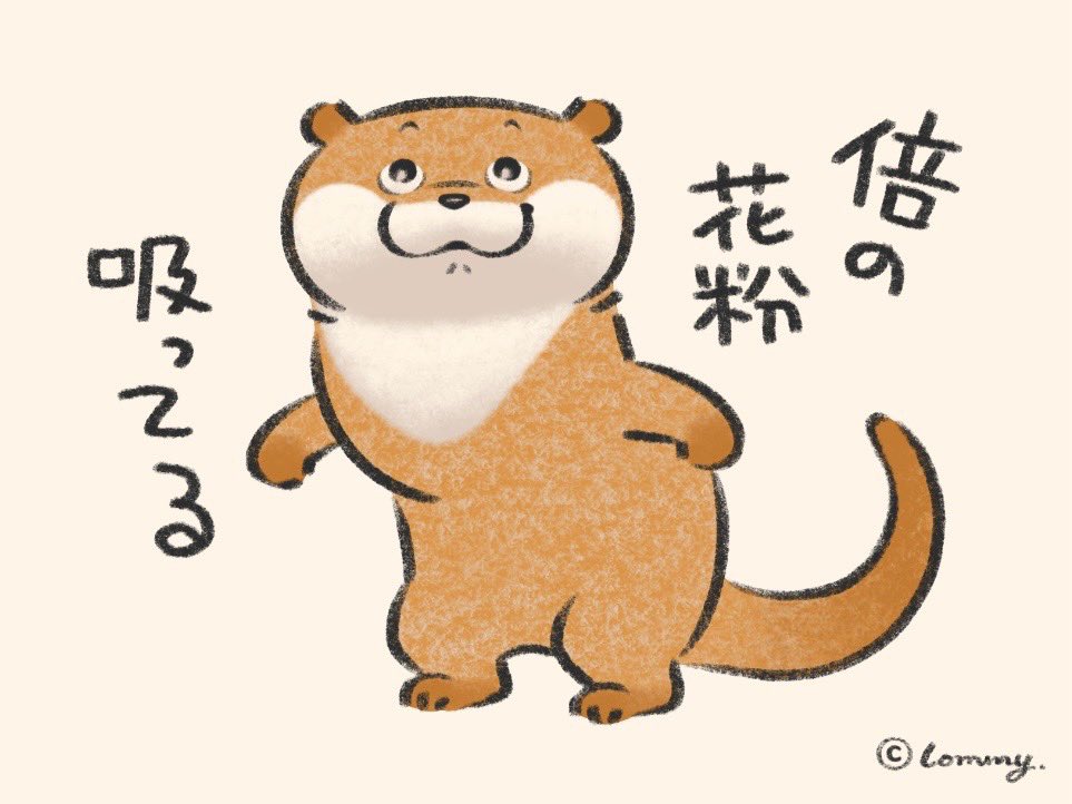 窓が全開なの🪟✨
#カワウソ 
#花粉症