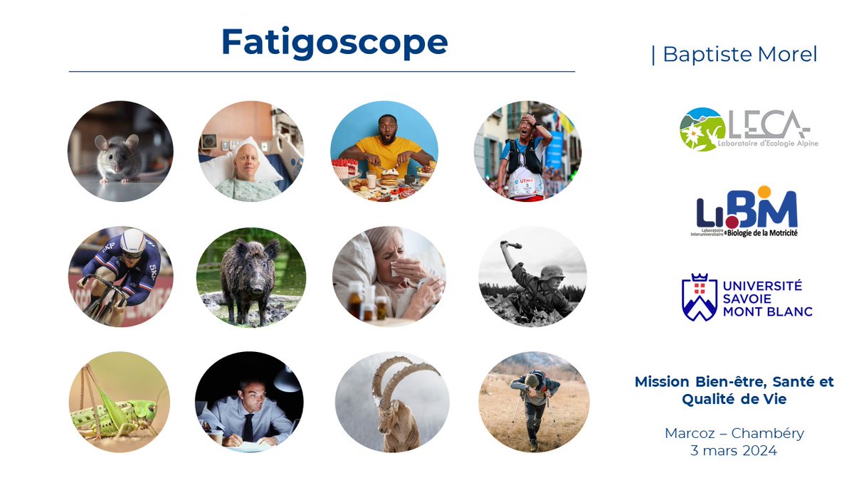 Fatigoscope: 16 portraits (not all human 😉) to understand the different faces of fatigue. I really enjoyed preparing and giving this talk for the @Univ_Savoie health and well-being mission. @LIBM_lab @EcologieAlpine