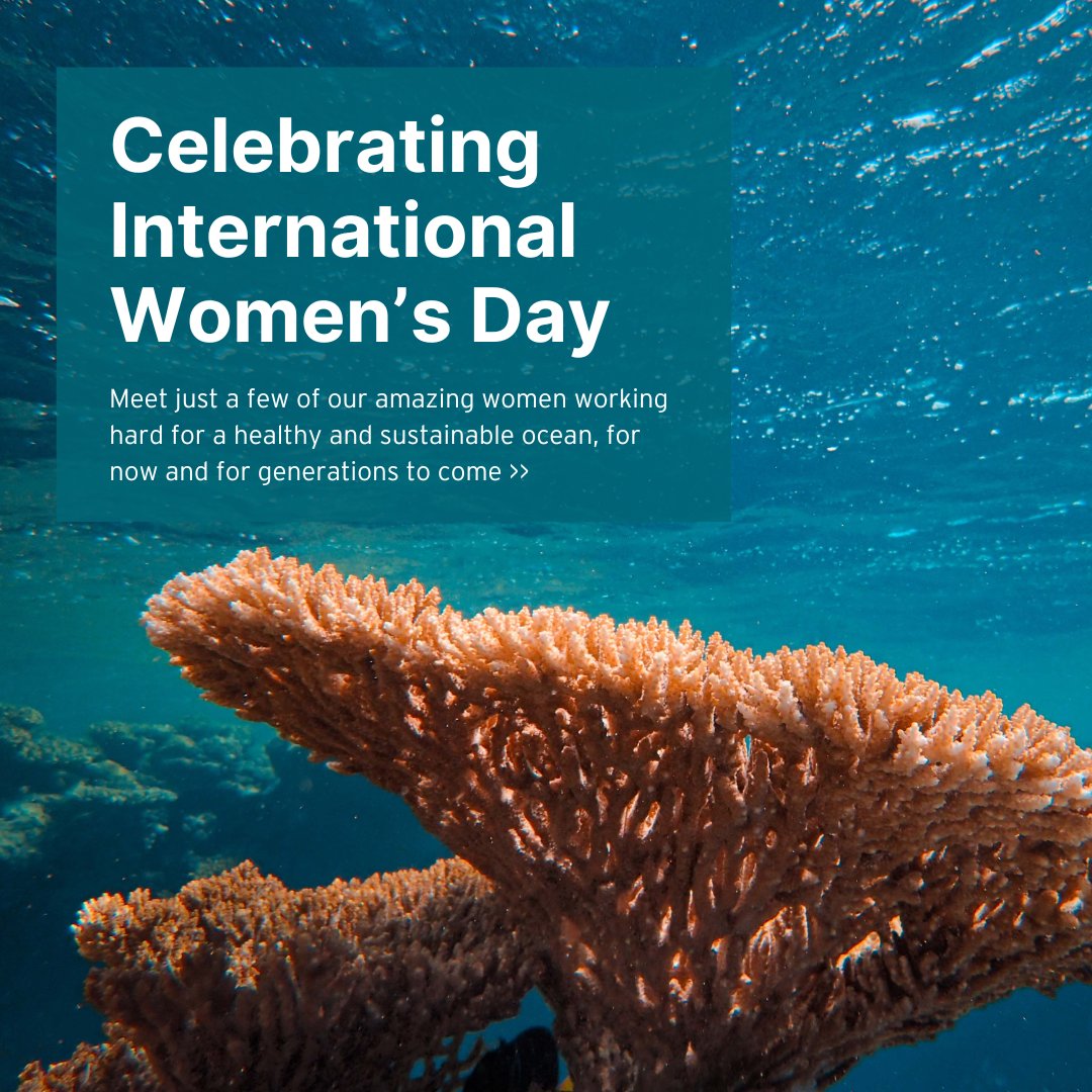 It's #InternationalWomensDay today 💙To celebrate, we're re-sharing some of the 'staff spotlights' from our women working hard for a healthy and sustainable ocean, for now and for generations to come. Dive into the thread below 👇🌊