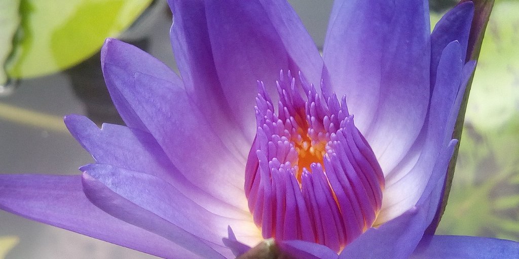 By letting it go it all gets done. The world is won by those who let it go.

― Lao Tzu