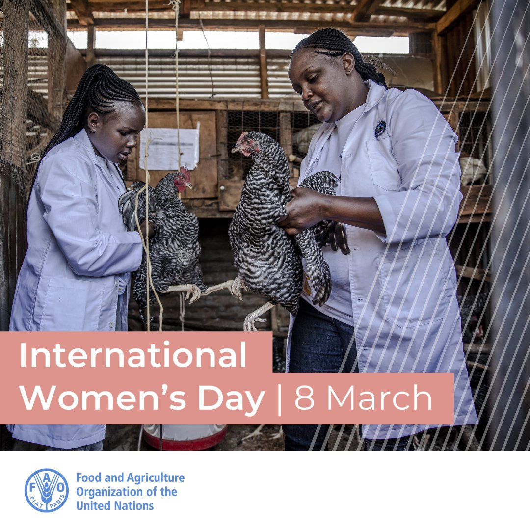 Happy #InternationalWomensDay! Today and every day, let's recognize the diverse contributions of women in the livestock sector, from animal health professionals and researchers to farmers and policymakers. 🌟👩🏽⚕️👩🏻🔬👩🏼🌾👩🏿🏫👩💻👩🏾💼🌟