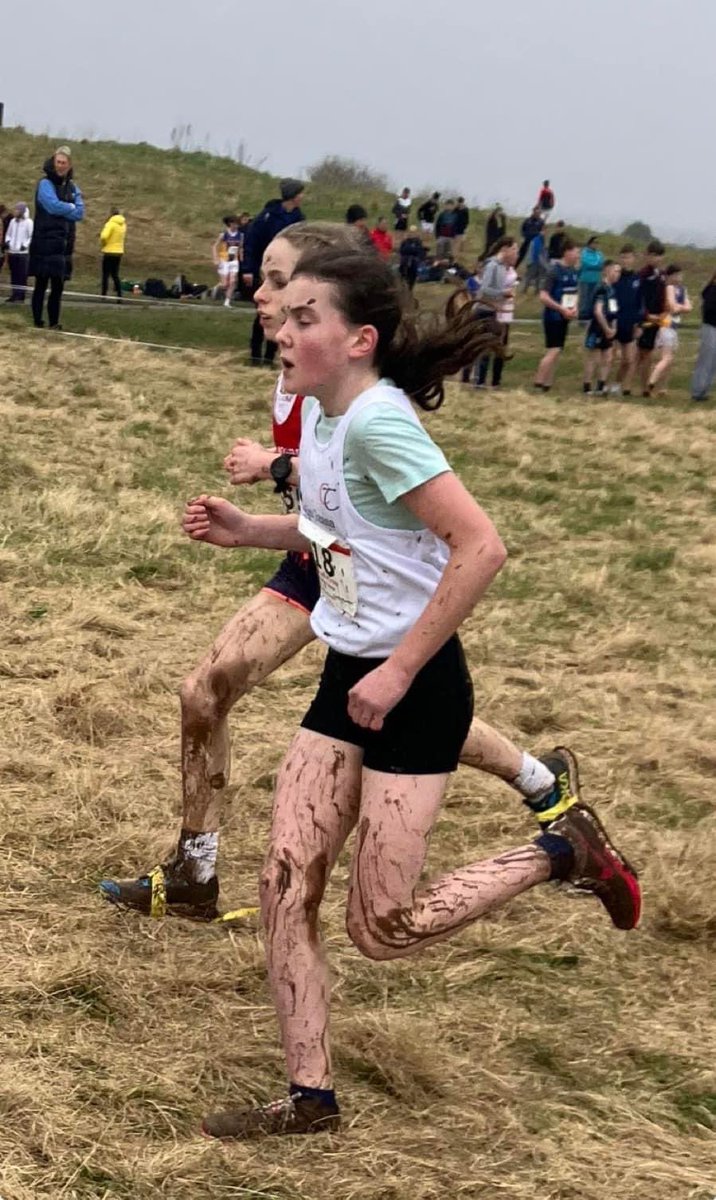 Coláiste Treasa tweet media