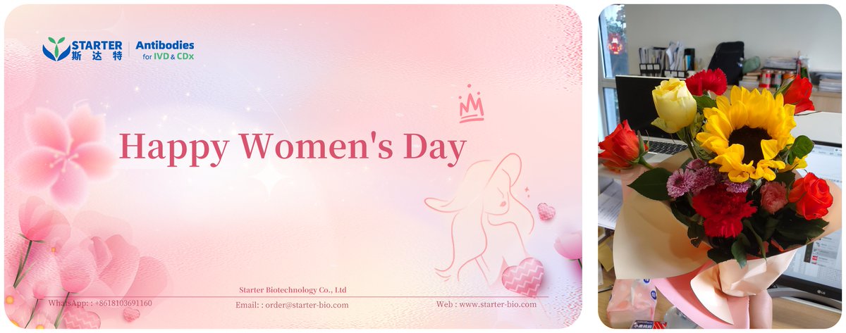 Starterbio's tweet photo. Happy Women's Day ❀ https://t.co/S1DE47gDS7