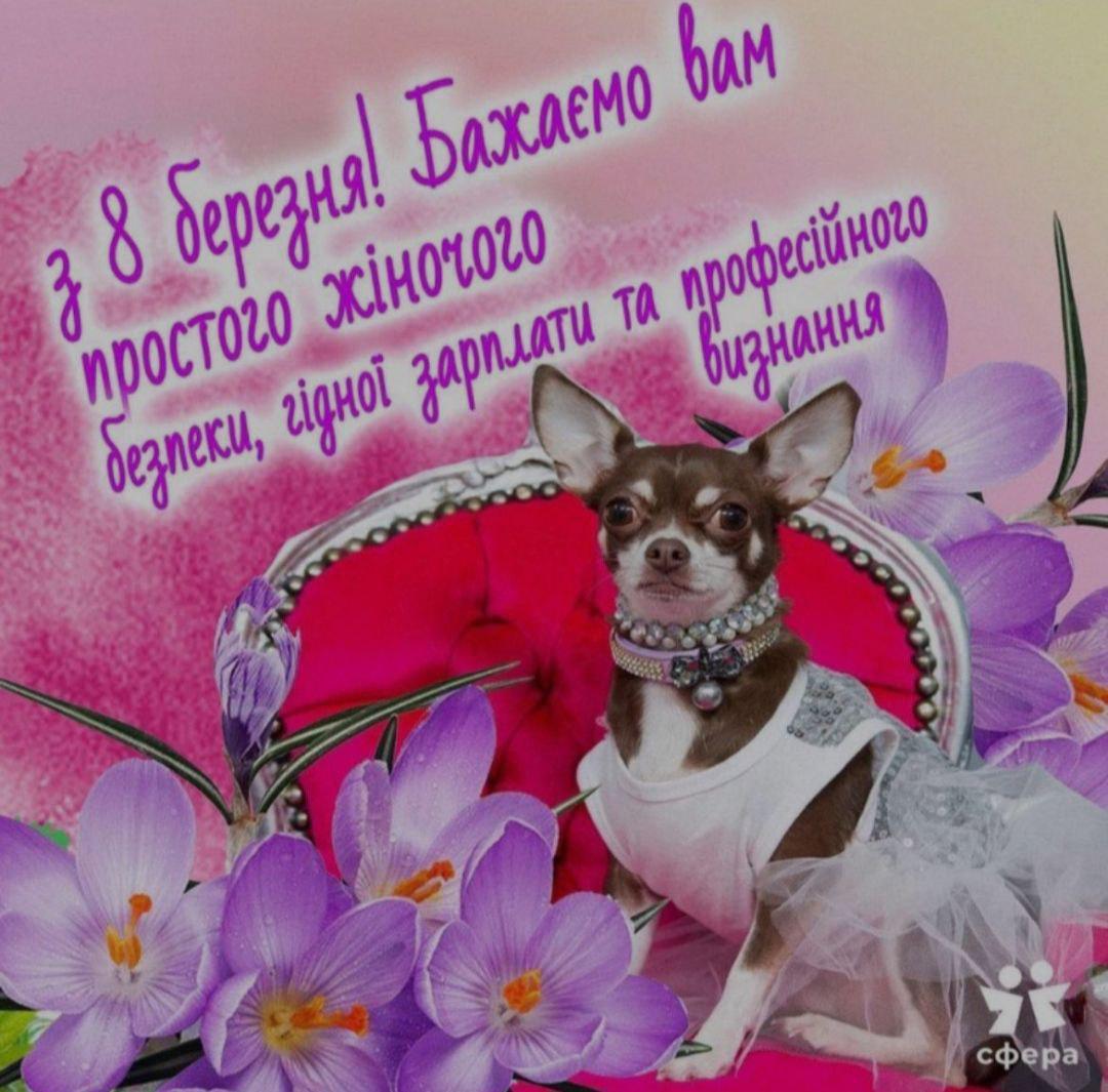 varekhova_zupa's tweet photo. з 8 березня нас, жіноцтво! з днем боротьби жінок за свої права, адже разом – ми сила💅 тримайте картинку-вітання по тємі! https://t.co/j17NhIBgrd