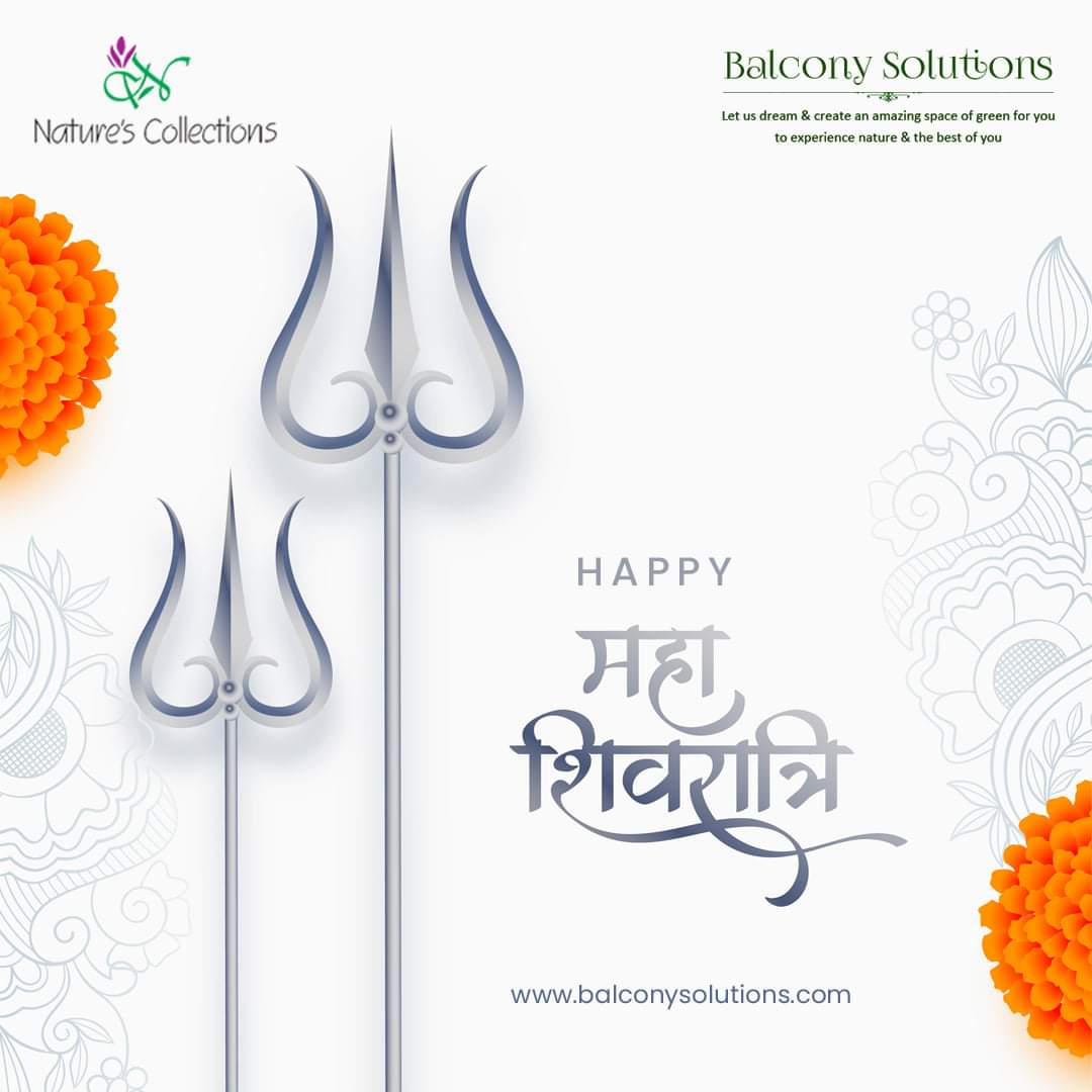 VinodMi62447080's tweet image. Let&apos;s chant the name of Lord Shiva and get his divine blessings! Balcony Solutions wishes you a very Happy Maha Shivratri.

#MahaShivRatri2024 #BalconySolutions #OmNamahShivaya #MahaShivratri #HappyMahaShivratri #NaturesCollections