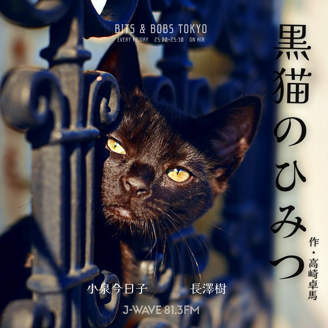 jwave813fm's tweet image. 【#小泉今日子 を迎えて『黒猫のひみつ』】

金曜25時からは
『BITS&amp;amp;BOBS TOKYO』
#高崎卓馬 のショートストーリーとトークで綴る30分

3月の主演は 小泉今日子 と #長澤樹

「黒猫っていうのはそういうものなので」 

🎧radiko.jp/share/?sid=FMJ…

#jwave #babt813