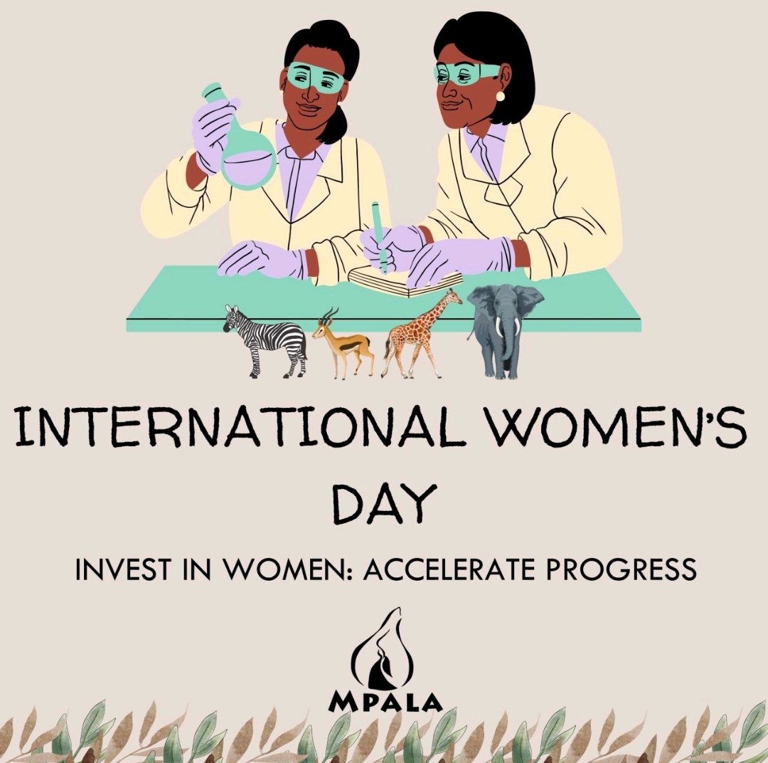 Happy #InternationalWomensDay2024. Today & everyday @mpala_rc is grateful & proud to have many female staff & scientists working at Mpala. They are an asset to the landscape, they contribute to the body of knowledge in science #InvestInWomen #AccelerateProgress #InspireInclusion