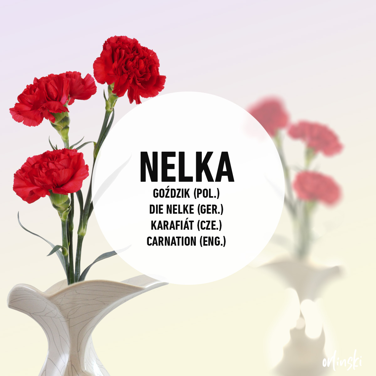 wojtekorlinski's tweet image. Piōntek ze godkōm
Nelka – goździk (pol.); die Nelke (ger.); karafiát (cze.); carnation (eng.)
Downij za kōmōny, na Dziyń Kobiyt kożdo frela  we werku dostała nelka.

PL: Kiedyś za czasów komuny, na Dzień Kobiet każda dziewczyna w fabryce dostała goździka.

Tukej  ôdmiana: