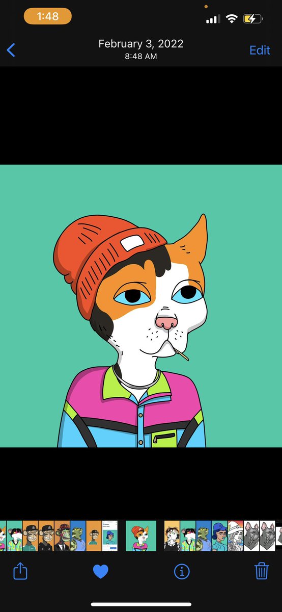 myboredgames's tweet photo. @jtactionalts @GutterCatGang Gang https://t.co/Ndcx6h8MLU