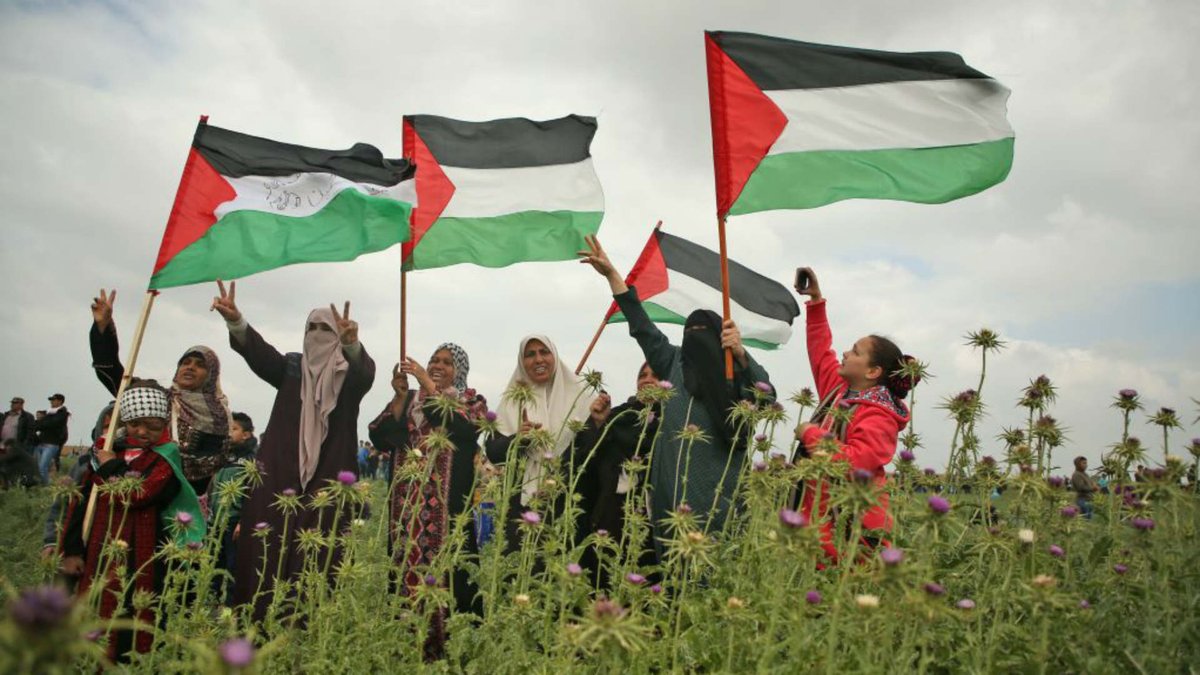 On #IWD24, we stand with Palestinian women continuing to lead the resistance to Israel’s colonisation, apartheid and genocide.

The fight for freedom from gendered oppression is incomplete without the liberation of all women and oppressed people across the world. (1/12)