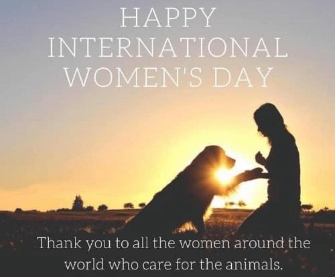 domdyer70's tweet photo. To all the incredible women in Britain &amp; around world who do so much for dogs in need #InternationalWomensDay https://t.co/XffYcLGJce