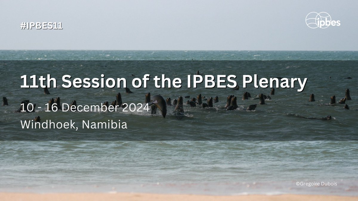 📢 Save the date 📢 ‌🌎 With 145 member States, #IPBES11 will be 1st session of IPBES Plenary in #Africa. Stronger science-policy #ForNature & people. ‌🗓️10-16 Dec. ‌📌Windhoek, Namibia 📚 #NexusAssessment & #TransformativeChange Reports 🔗ipbes.net/notification/s…