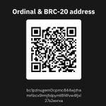 Photo by BitcoinCopartner 🍌 (@bibobison)