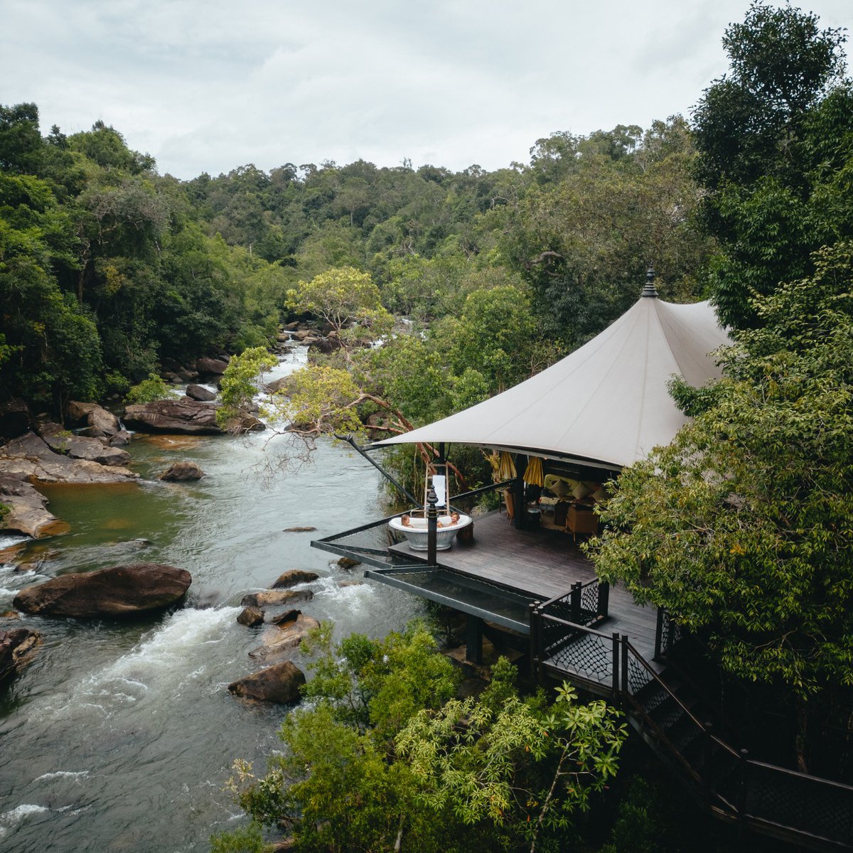 The Long Run tweet media