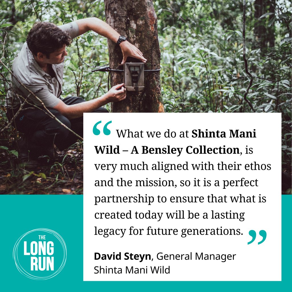 The Long Run tweet media