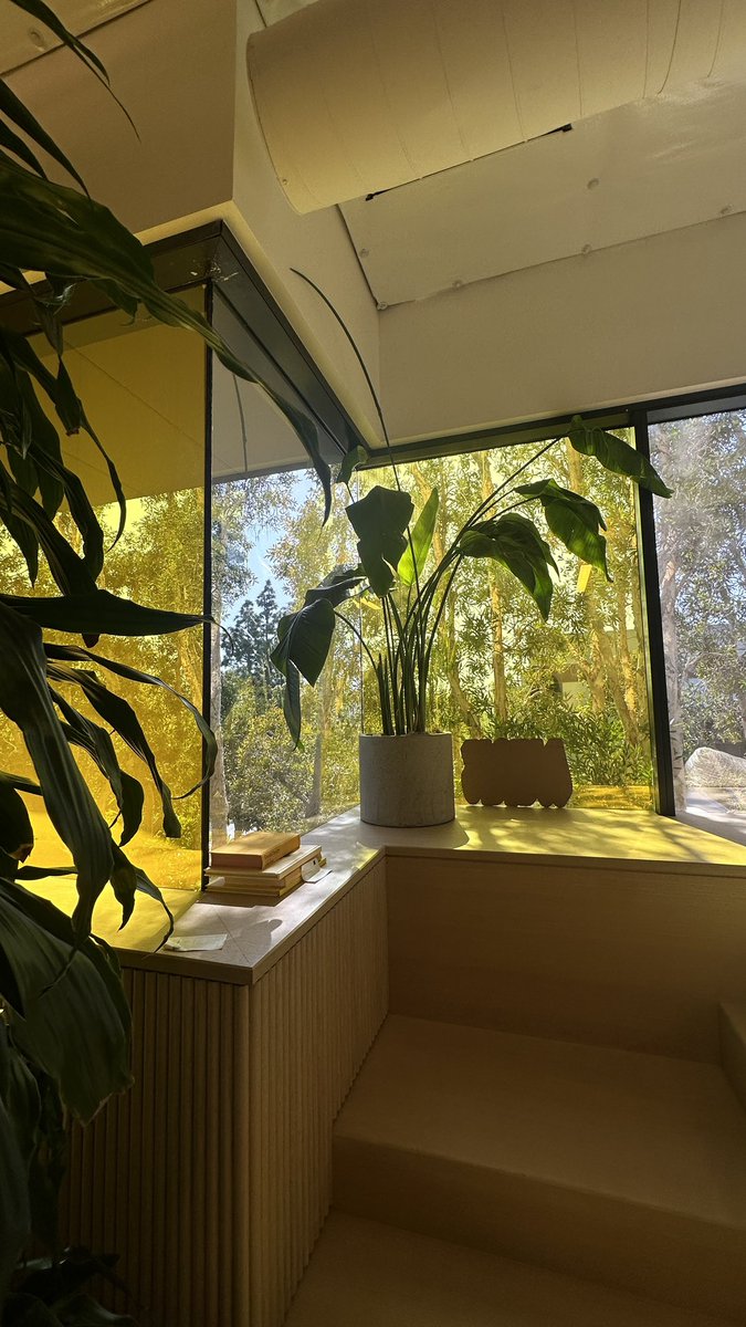 bigdaddyankee's tweet image. thanks for having me at Snapchat HQ today, @Snapchat!! 💛👻 learned a lot of creator tips + tricks that i’m really excited to implement into my own content!
#snapchat #snapschool