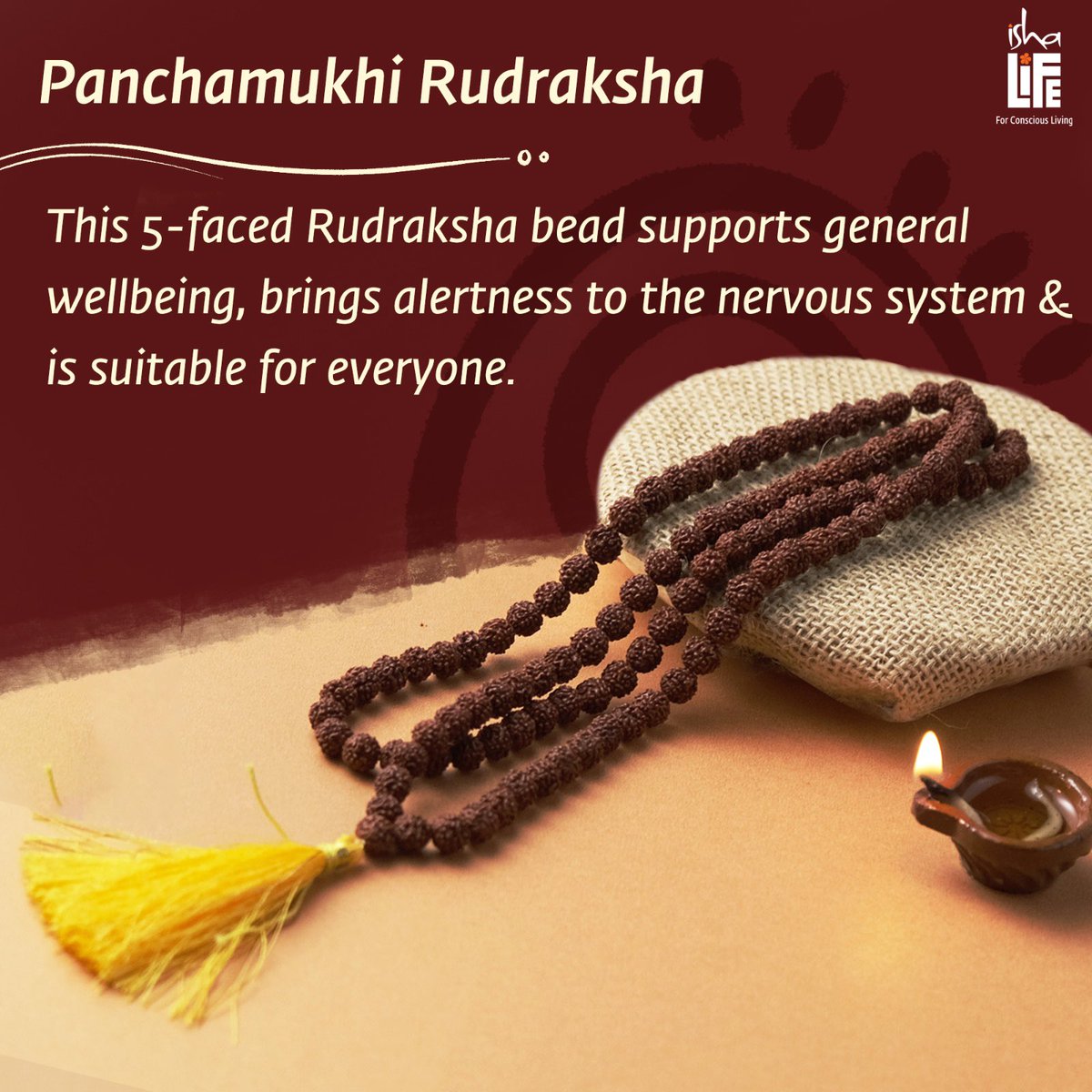 Explore Isha's Consecrated Rudraksha on ishalife.com #shiva #adiyogi #rudraksha #shiva #msr #consecrated #offering #adiyogi #adiyogishiva #adiyogishivastatue #mahadev #rudraksha #rudraksh #tearofshiva #rareoffering #sadhguru #sadhana #rudraksha #rudrakshabeads