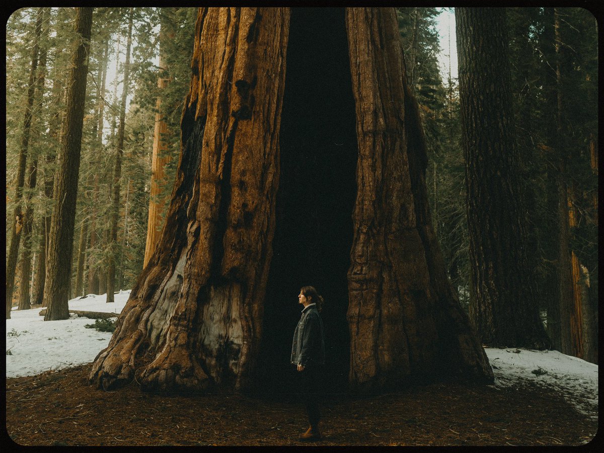 Austin Rupp (@austinjrupp) / Posts / X