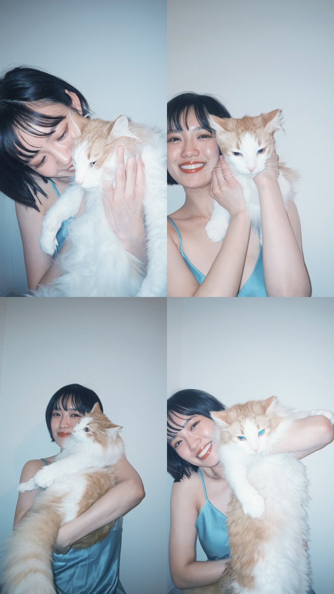 2024.03.08 26歳になりました！ とらは、4歳になりました♡ いろんな