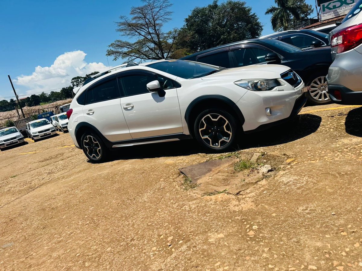 JBMOTORSUG's tweet photo. Kano Kali katya bantu bange 🔥

We also allow installments, credit and barter 💪💪

CALL/WHATSAPP JB MOTORS DIRECTOR - +256 751479996 /+256777079297

#JBMOTORS || #TopRides 🚙🚙 https://t.co/zLRcf4qT7k