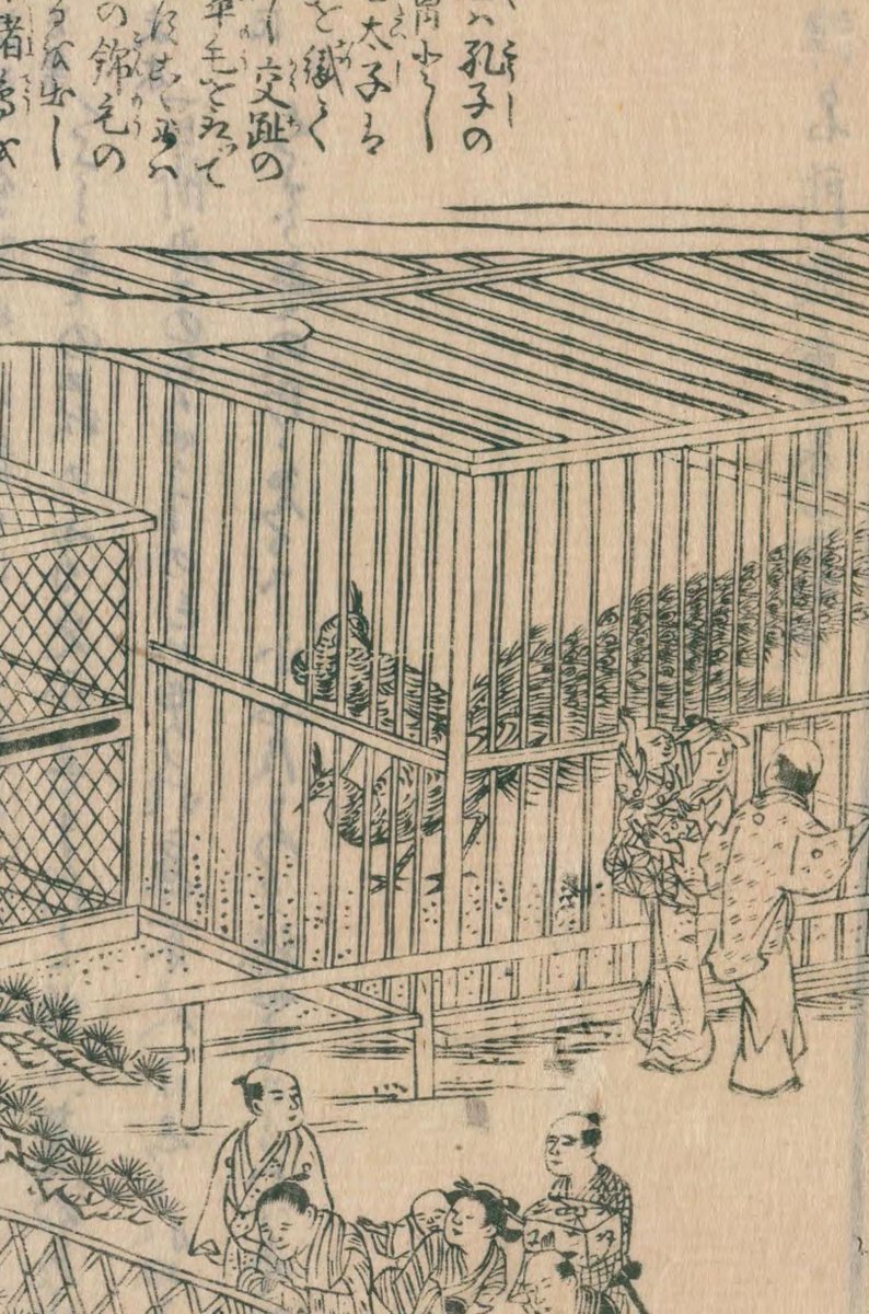 江戸時代に発行された摂津国(現在の大阪府と兵庫県の一部)の名所を紹介