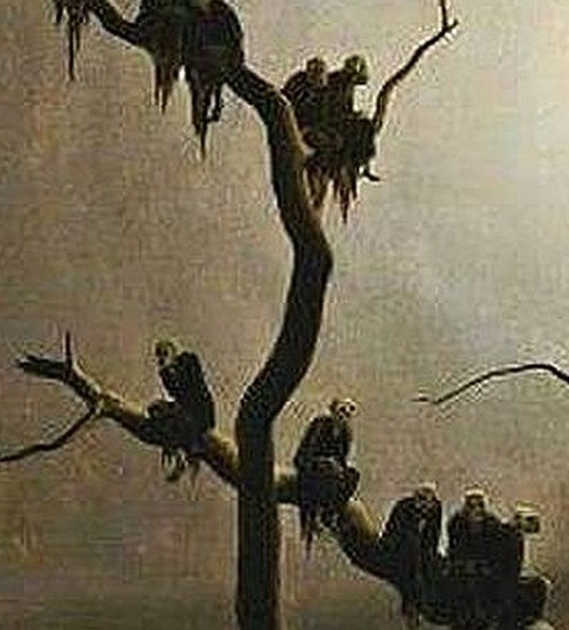 Ghosts on the Tree (1933) by Franz Sedlacek (Austrian artist, lived 1891-1945). The artist served in the #FirstWorldWar and was 'lost in action' in the #SecondWorldWar.